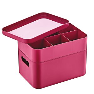 Herzberg HG-OKY676: 2-Laags multifunctionele organizer box Roze